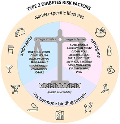 Insight into genetic, biological, and environmental determinants of sexual-dimorphism in type 2 diabetes and glucose-related traits